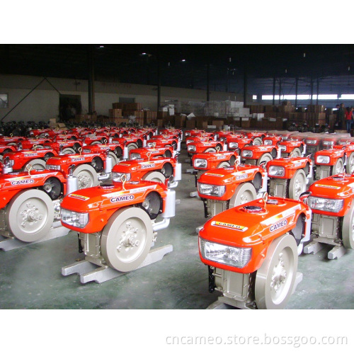 Diesel Engine CPD120-1/12HP